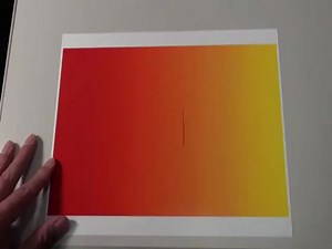 Your eyes see color by contrasting it with other colors, so when the square slides back and forth it appears to change color. | EngineerKnow | Facebook