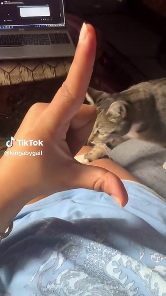 Exploring a Biscuit Factory: A Fun Journey