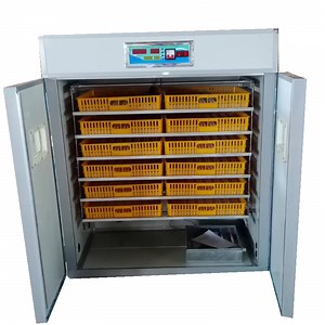 [Hot Item] Electricity Powered Agriculture Commercial Well 1000 Chicken Eggs Hatcher Incubator Machine