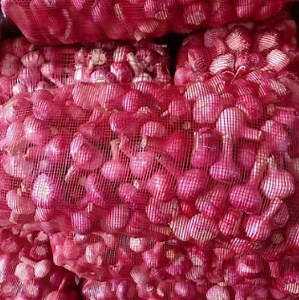 [Hot Item] Circular Mesh Bag for Vegetable Packing New 50X80 45*75cm Vegetable Net Sack Potato Onion Garlic Fruit Orange