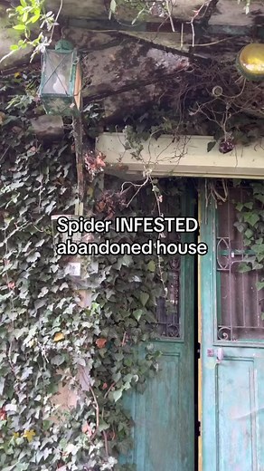 Spider infested house with a strange room upstairs… #abandoned #abandonedplaces | Sam & Jess Explore