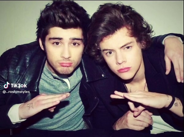 Friendship Moments Inspired by Harry and Zayn