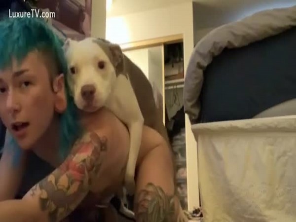 hot tattooed girl fucked by her dog