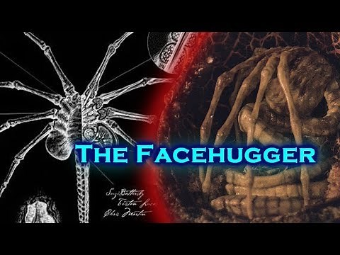 Secrets of the Facehugger!