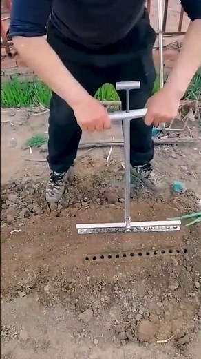 Quick and easy technique for planting onions