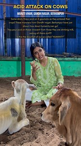 41K views · 7.8K reactions | ACID ATTACK ON INNOCENT GAUMATA SHAME...