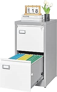 Metal Vertical File Storage Cabinet, 2 Drawer File Cabinet with Lock, 18" Deep Vertical Filing Cabinets for A4 Legal/Letter Size, Assembly Required (2 Drawer - Gray White), AD-8201