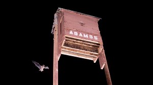 10K views · 354 reactions | Have you bought or built a bat house for #BatWeek? Are you wondering what to do next? Find out what the best color is to paint your bat house and where to mount it in this video! | Bat Conservation International | Facebook