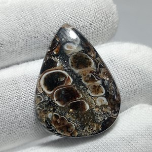 Natural Turritella Agate Cabochon Fossil Snail Shell Gemstone - Etsy