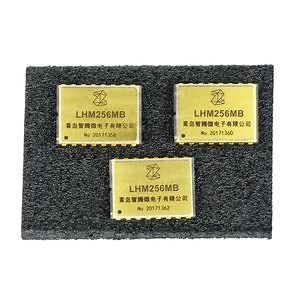 [Hot Item] 210 Degree Nand Flash Storage Chip Nor Flash Memory Mwd Memory Chip Supplier