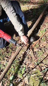 Making a rustic log furniture bench using Lumberjack Tools! #rusticfurniture #rusticbench #rustic #handmadeinaustralia #handcrafted #handcraftedfurniture #handmade #handmadebench #handmadefurniture #greatforestfurniture #furnituremaker #furniture #maker #woodworkingproject #woodworking #salvagedtimber #salvaged #wood #woodworker #diyfurniture #salvagedwood #reuse #sustainabilty #sustainable #upcycle #handsaw #australianhardwood #hardwood #bench #joinery #lumberjacktoolsusa | Lumberjack Tools