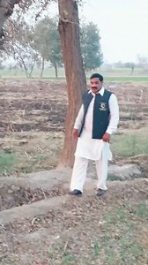 Musharraf Javed Janjua - The WALL on Reels