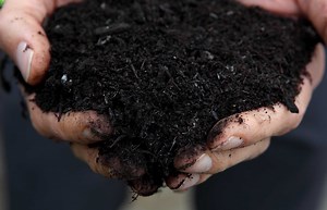 Compost Accelerator Recipe