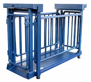 [Hot Item] Cattle Weight Scales Bar Cattle Scale Platform Scale for Cow