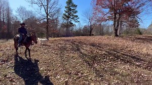 18 reactions | BART , BONNIE AND CONNIE OUT ON THE TRAILS TODAY | Max Bishop | Facebook