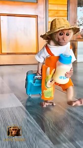 2.3M views · 72K reactions | Ajojaye | Jay Coded | Facebook