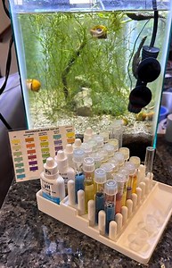 Aquarium Test Kit Holder – API Test Tube Rack and Drying Station - Etsy
