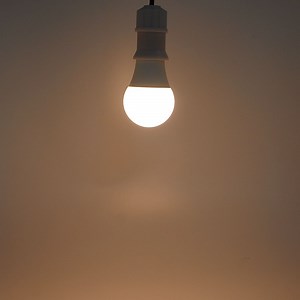 [Hot Item] LED Bulb 12W LED Light Bulb