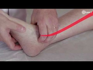 Palpation des pouls périphériques