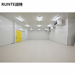 [Hot Item] Runte Brand Supermarket Warehouse Distribution Center Mushroom Cultivating and Growing Sandwich Panel Cold Room