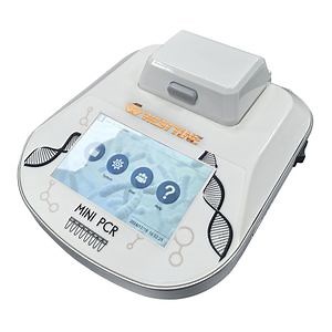 [Hot Item] Westtune Wt-16 16wells Mini Size PCR Thermal Cycler