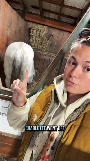 Sophie & Charlotte Update🐴 | Kie