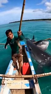 114K views · 919 reactions | Shark Attack Part 2 #AI #shark #fishing #postviralシ #positivity | WAT DAH EF | Facebook