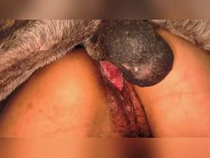 teen lesbians dog extreme threesome