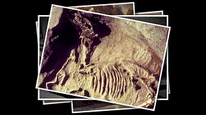 “𝘌𝘷𝘦𝘯 𝘪𝘧 𝘺𝘰𝘶 𝘥𝘰𝘯’𝘵 𝘵𝘩𝘪𝘯𝘬 𝘺𝘰𝘶 𝘯𝘦𝘦𝘥 𝘦𝘷𝘪𝘥𝘦𝘯𝘤𝘦, 𝘺𝘰𝘶 𝘴𝘩𝘰𝘶𝘭𝘥 𝘴𝘵𝘪𝘭𝘭 𝘴𝘦𝘦 𝘵𝘩𝘪𝘴 𝘧𝘪𝘭𝘮.” 𝙋𝙖𝙩𝙩𝙚𝙧𝙣𝙨 𝙤𝙛 𝙀𝙫𝙞𝙙𝙚𝙣𝙘𝙚: 𝙏𝙝𝙚 𝙀𝙭𝙤𝙙𝙪𝙨 “𝘸𝘪𝘭𝘭 𝘦𝘲𝘶𝘪𝘱 𝘺𝘰𝘶 𝘸𝘪𝘵𝘩 𝘢𝘯𝘴𝘸𝘦𝘳𝘴 𝘵𝘰 𝘨𝘪𝘷𝘦 𝘵𝘰 𝘵𝘩𝘰𝘴𝘦 𝘸𝘩𝘰 𝘮𝘢𝘺 𝘲𝘶𝘦𝘴𝘵𝘪𝘰𝘯 𝘺𝘰𝘶𝘳 𝘧𝘢𝘪𝘵𝘩 𝘪𝘯 𝘵𝘩𝘦 𝘉𝘪𝘣𝘭𝘦. ” - 𝘋𝘳. 𝘌𝘭𝘪𝘻𝘢𝘣𝘦𝘵𝘩 𝘔𝘪𝘵𝘤𝘩𝘦𝘭𝘭 And, even for those who are questioning the Bible right now...wondering, is it fact or fiction? This i