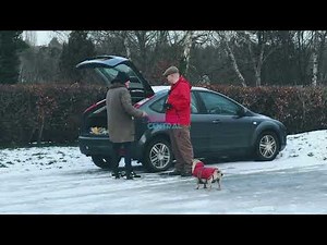 Darren Grainger - Dogging Ranger