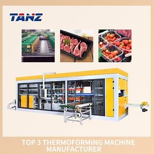 [Hot Item] Versatile Thermoforming Machine, Fruit Packaging Box Manufacturing System