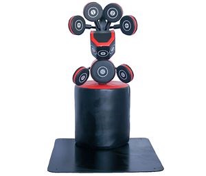 [Hot Item] Gymnasium Equipment Adjustable Custom Boxing Focus Mitts