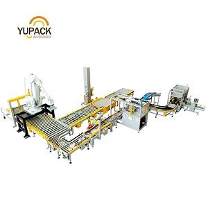 [Hot Item] Top Load Case Packer with Automatic Product Collation and Infeed Conveyor