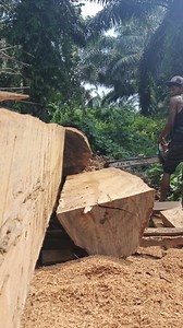 11K views · 143 reactions | fast and safe wood cutting techniques‼️ #ironwood #wood #cuttingskils #chainsaw #asmr | Haerul Anam | Facebook