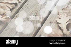 Bokeh circles appearing at bottom drifting diagonally across deck fading creating dreamy overlay. Natural, autumn, serenity, texture, ambient, tranquil, artistic Stock Video Footage - Alamy