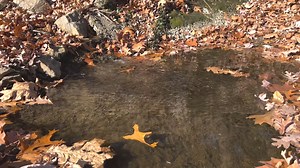 11 reactions | Residents of Seven Hills: We are just getting started on a stream restoration project on Hemlock Creek to address flooding and erosion. Our own Jenn Elting recently spoke to Mayor Tony Biasiotta about this Regional Stormwater Management Program project's goals and community benefits. | Northeast Ohio Regional Sewer District | Facebook