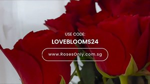Timeless roses, perfect for every love story. Where love blossoms forever. Surprise your loved ones and enjoy 15% off! | Roses Only Singapore | Facebook