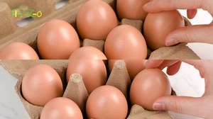 HANSGO 12PCS Paper Egg Cartons, Pulp Egg Holder Cardboard Dozen Egg Cartons 12 Count Egg Storage Containers for Family Farm Market Fridge