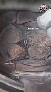 Tamil memes on Reels