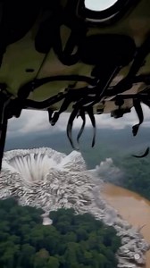 What’s REALLY Happening Deep in the Amazon You Won’t Believe Your Eyes! | Real Cinema Talk