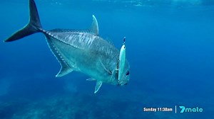 Some stunning footage This Sunday on The Fishing Show, as Nige goes out with Nomad Sportfishing to chase GTs in the tropics, and even gives guiding a go! AFN Fishing & Outdoors Show, 11:30am Sunday on 7mate. | BCF - Boating, Camping, Fishing
