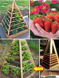 How to Build a Strawberry Pyramid Planter: A Comprehensive Guide💬👇 | ViralBe