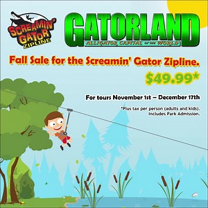 🐊 Ready for a wild adventure? Experience the thrill of a lifetime at Gatorland with our Screamin' Gator Zip Line! 🐊 | Gatorland Orlando
