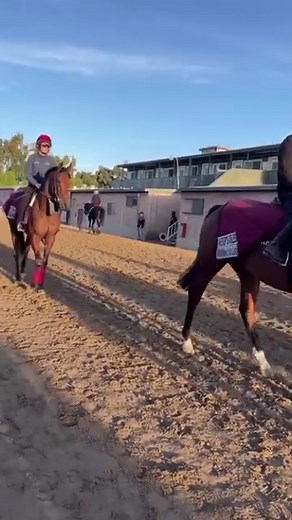 Team Ballydoyle reporting for duty 🫡 The 2023 #BreedersCup gets underway this evening, with plenty of Irish interest 🇮🇪 #GreenTeam | Horse Racing Ireland