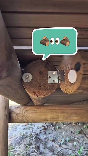 🪵 A log with a secret 🪵 Would you spot the geocache tucked inside this log? 🎥: adelinors #geocaching #geocache #adventure #explore #fyp