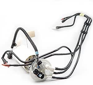 Delphi FG0139 Fuel Pump Module