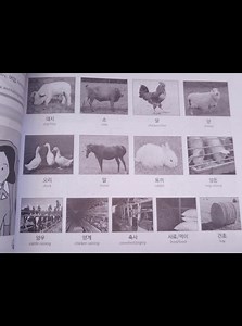 축산업 ( Livestock and dairy industry) . . Book 2 vocabs | Masangay TV