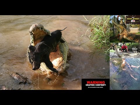 CROCODILE VS BOAR! - CROCODILE MAN Australia # 11