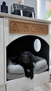 Custom Dog Bed #dog #dogbed #dogsoftiktok #dogs #doghouse #cockapoo #cockapoosoftiktoks #cockapoosofinstagram #dogsofinstagram #electrician #electricians #electriciansdoitbetter #sparky #tools #toolstoday #toolsofthetrade #fyp | Sota Electrical Ltd