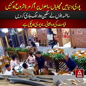 490K views · 12K reactions | سمندروں میں تباہی کی لہر! سائنس دانوں نے خطرناک وارننگ جاری کر دی ⚠️ | Apex Central | Facebook